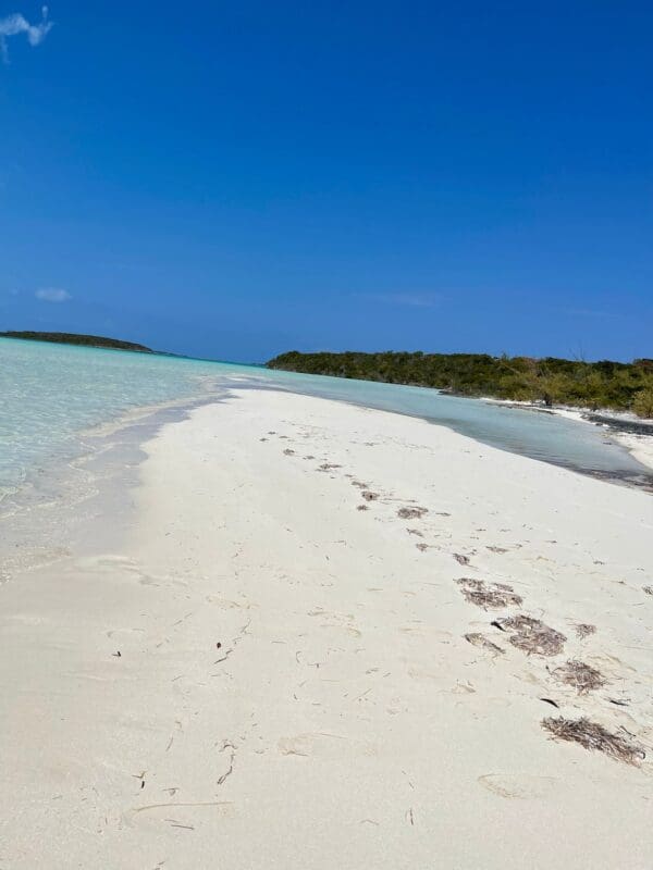 A beach with footprints in the sand and water